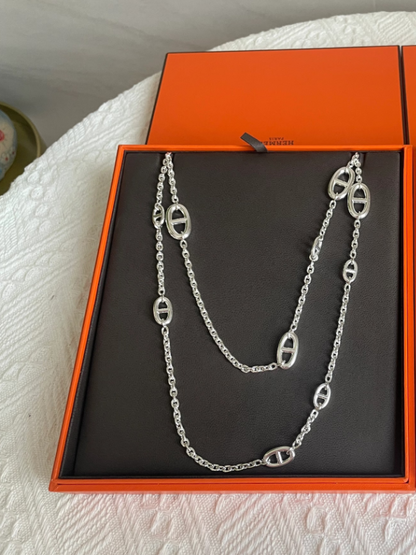 [⭐Veyra]Classic Silver Sweater Chain
